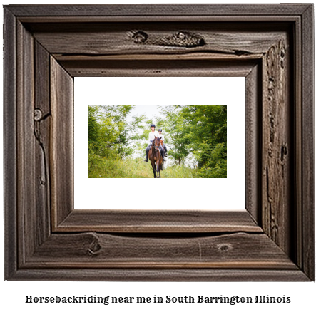 horseback riding near me in South Barrington, Illinois